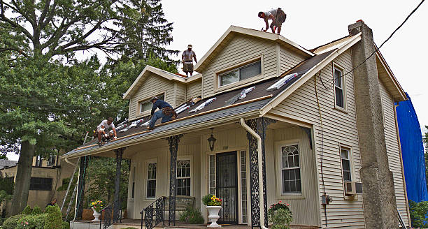 Best Roof Gutter Cleaning  in Hiram, OH